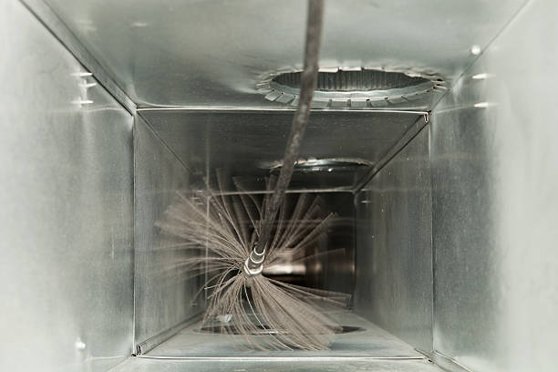 Best Dryer Vent Cleaning Services  in Parsons, WV